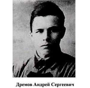 Дремов Андрей Сергеевич.jpg